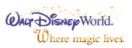 Corporate Event Management In Akron, Cleveland, and Canton, Ohio - Walt Disney World